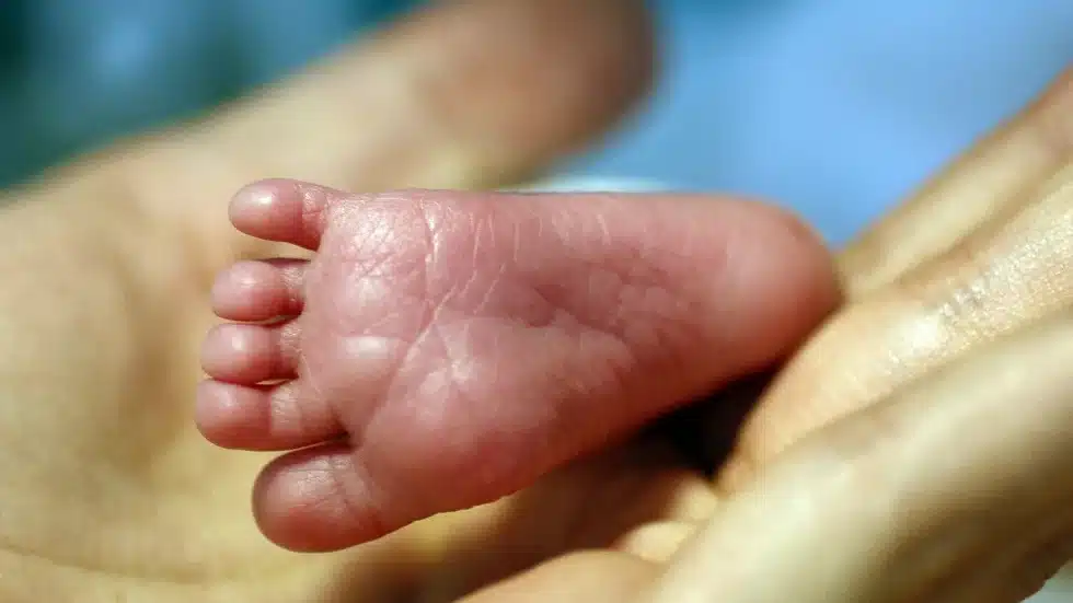 Portugal acolhe primeiro filho concebido após morte do pai