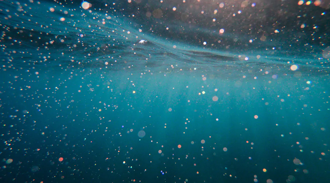 Les microplastiques en mer réduisent considérablement la croissance des microalgues – étude