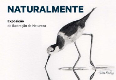 « La beauté du monde naturel » inspire la nouvelle exposition d’art de Lagoa