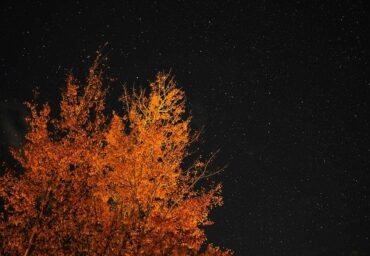 Ce qu’il faut surveiller dans le ciel nocturne d’octobre