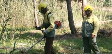 Prévention des incendies de forêt : près de 14 000 zones « n’ont pas été nettoyées »
