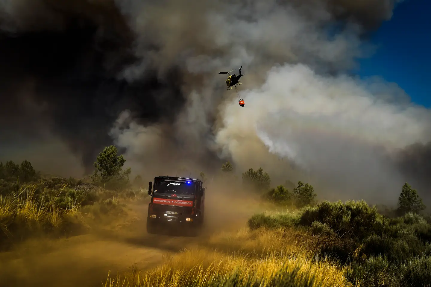 L’incendie de la Serra da Estrela en août « doit nous servir de leçon à tous »