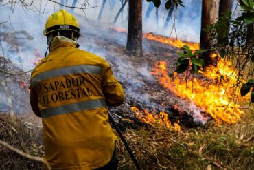 Week-end sur des charbons ardents alors que les pompiers tournent le coin des flammes du Portugal