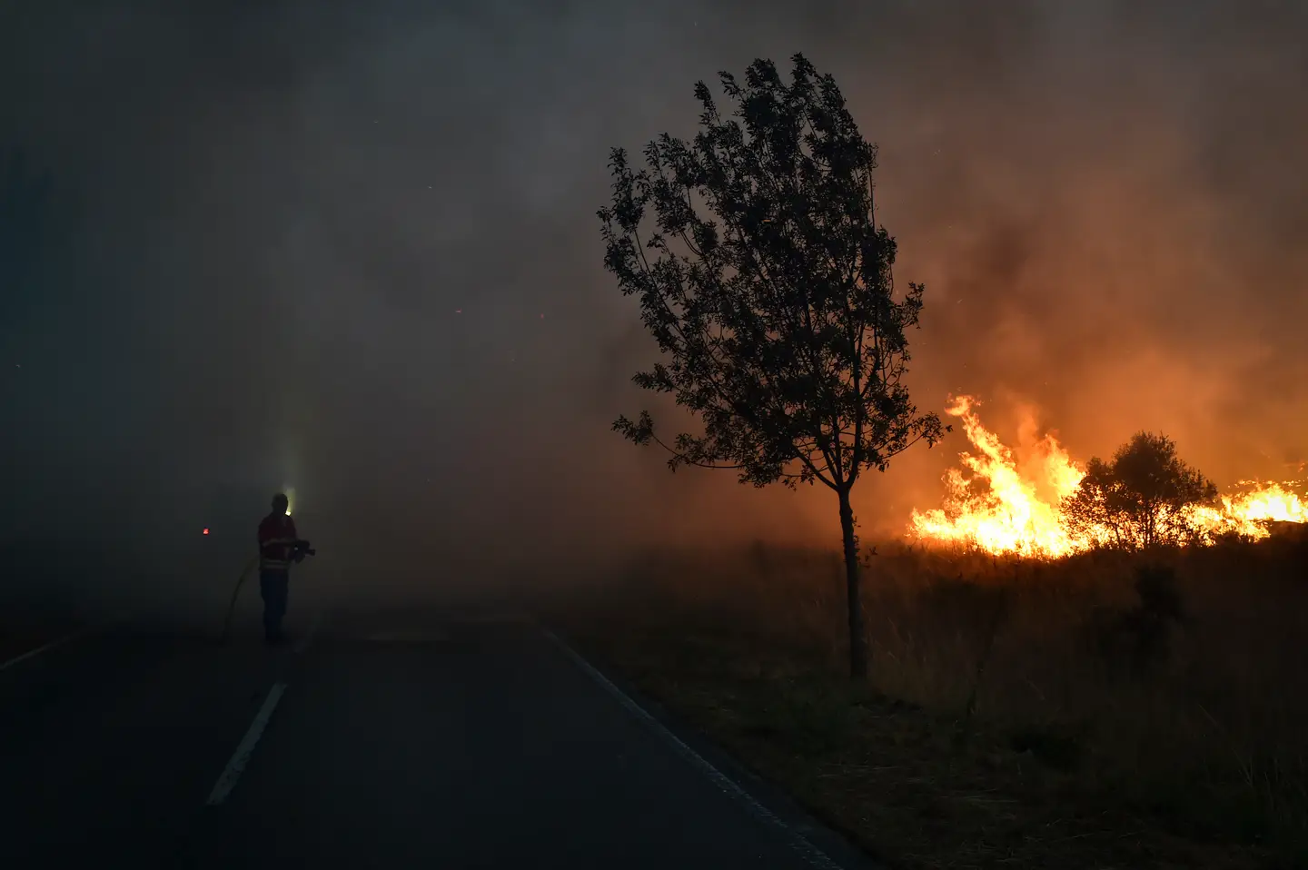 Plus de 1 000 pompiers combattent de nouveaux incendies à Serra da Estrela