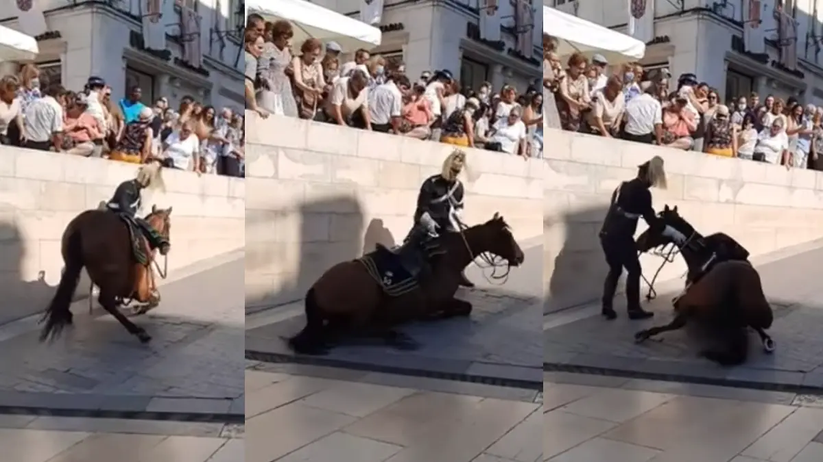 Tristesse et indignation alors que les chevaux traversent l’enfer lors d’une procession religieuse à Coimbra